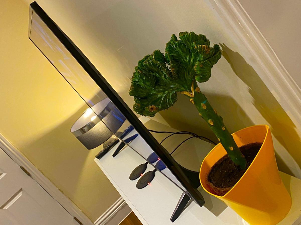 קנטרבורי Deluxe High Street Apartment מראה חיצוני תמונה